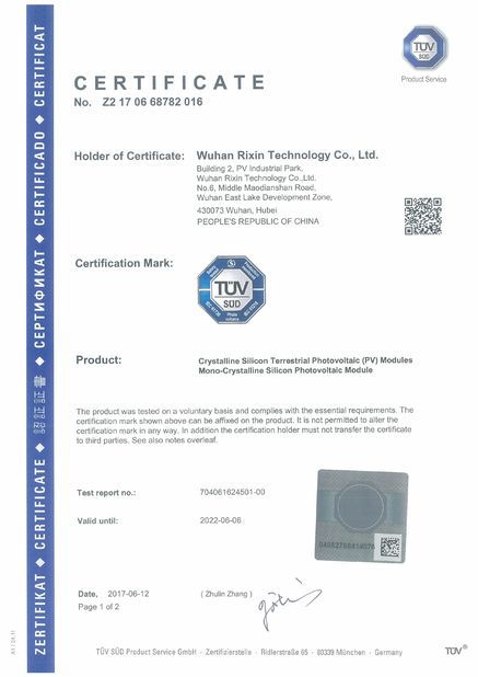 China Wuhan Rixin Technology Co., Ltd. Certificações