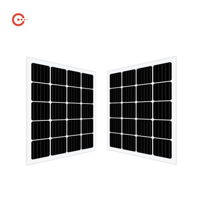 qualidade  Rixin CE BIPV Solar Panels Transparent Glass Monocrystalline PV Module fábrica